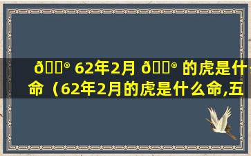 💮 62年2月 💮 的虎是什么命（62年2月的虎是什么命,五行属性）